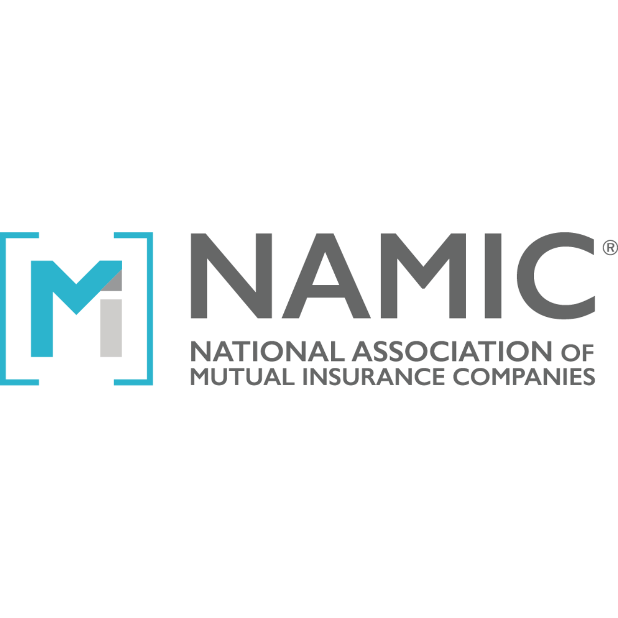 NAMIC-1
